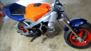 REED MODED pocket bike FIRST START UP [upl. by Ettore237]