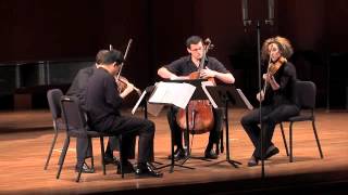 Ligeti String Quartet No 1 quotMétamorphoses nocturnesquot Movements I  XII [upl. by Amliw]