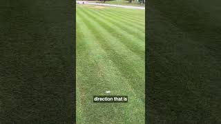 Steves Fall Fertilization and Overseeding Part 13🌱 [upl. by Aretta518]