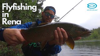 Flyfishing in Rena Norway [upl. by Martinic780]