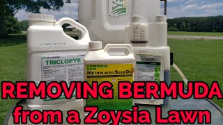 How to remove Bermudagrass from a Zoysia lawn [upl. by Tichonn]