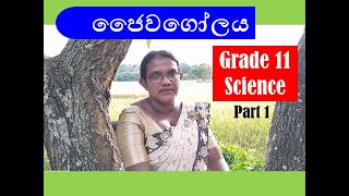 Biosphere  Science Grade 11 Sinhala medium  Part 1 [upl. by Loresz]