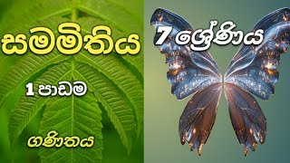 පාඩම 1  සමමිතිය  7 ශ්‍රේණිය ගණිතය lesson 1 Bilateral symmetry Maths grade 7 [upl. by Stoops]