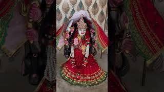 Maa meldi  live darshan mataji [upl. by Wolfgang]