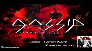 Gossip  Perfect World  Expander remix [upl. by Jenei668]