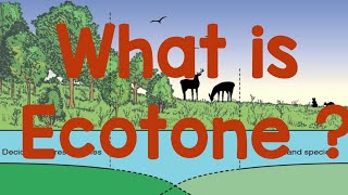 EcotoneWhat is Ecotone Example of Ecotone [upl. by Sikram]