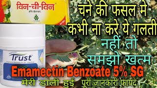 चने की खेती  1 spray Emamectin Benzoate 5 SG  win chi win tonic  पूरी जानकारी फायदे [upl. by Eseerahs762]