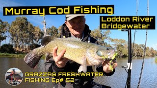 Murray Cod Fishing Loddon River Bridgewater [upl. by Eisor]