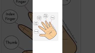 Fingers Name  Vocabulary english vocabulary body trending feedshorts [upl. by Idnas]