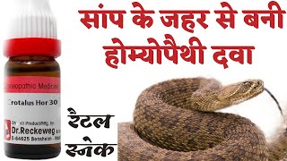 क्रोटेलस होरिडस होम्योपैथी दवा के मुख्य लक्षण । crotalus 30 guiding symptoms in Hindi [upl. by Maker336]