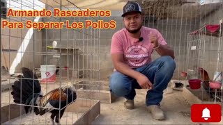 ARMANDO RASCADEROS PARA SEPARAR POLLOS  Le Dimos una organizada a los gallos [upl. by Swayne]