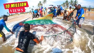 Unbelievable 2000Kg Queen fishes Caught In Seine Net  You Wont Believe How We Caught This [upl. by Assirroc814]