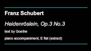 Schubert Heidenröslein Op3 No3 [upl. by Andromada976]