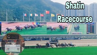 May the horse be with us🐴🤸‍♀️😹  Sha Tin Racecourse [upl. by Intyrb]