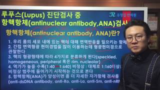 루푸스Lupus 진단검사 중 항핵항체antinuclear antibodyANA [upl. by Adnileb]