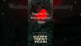 Happy new year happynewyear happy newyear couple shorts reels trending [upl. by Nelsen]