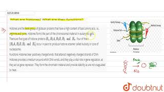 What are histones What are their functions [upl. by Justen]