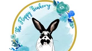 Floppy Binkery Rabbit Treats Review [upl. by Vincelette289]