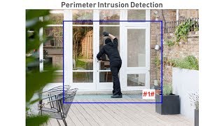 Intrusion Detection Video Analytic on NVR8580 with 4K Security Cameras NHD885MSB or NHD886MSD [upl. by Dralliw]