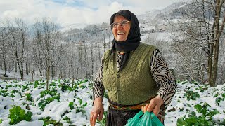 Kara Havvanın Geçmişe Ağıtı  Belgesel [upl. by Matthus]