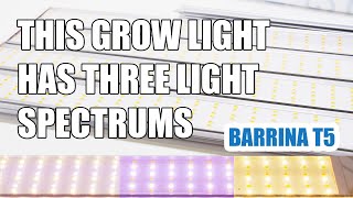 This Grow Light Has THREE Spectrums Barrina T5 Grow Lights [upl. by Nylitsirk]