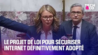 Le projet de loi pour sécuriser internet définitivement adopté à lAssemblée nationale [upl. by Pollak533]