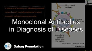 Monoclonal Antibodies in Diagnosis of Diseases Biology Lecture  Sabaqpk [upl. by Lind563]