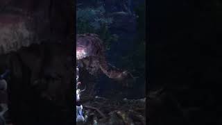 Turf War  Rathlos vs Anjanath playstation capcom monsterhunter monsterhunterworld [upl. by Razid]