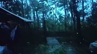 Typhoon Kristine bicol [upl. by Nossah319]