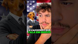 cachorro que fala inglês livedobrino humor MundinhoBrino [upl. by Nayra]