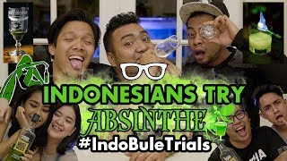 IndoBuleTrials Indonesians Try Absinthe feat Cameo Project [upl. by Akeimat620]