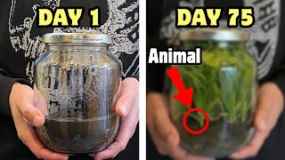 I Put Soil In A jar  This Happened [upl. by Atterbury]