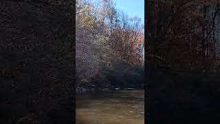 Peace and serenity on the Tallapoosa River [upl. by Eleets]