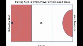 Netball Umpire Training  Playing Areas [upl. by Keavy676]