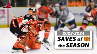 【BEST SAVES】アジアリーグアイスホッケー20232024前半戦GoalieたちのSAVE集 [upl. by Plume846]