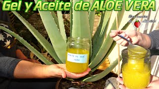 Gel y Aceite de Aloe Vera [upl. by Eanert]