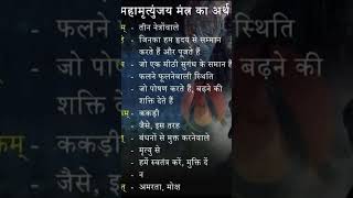 Mahamrityunjay mantra ka अर्थ shortsvideo birdlyriclyrics mahamrityunjayamantra shortsmeaning [upl. by Haeel41]