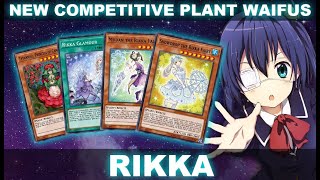 RIKKA NEW COMPETITIVE PLANT XYZ WAIFUS Antinomic Theory YuGiOh Duel Links [upl. by Rotceh]