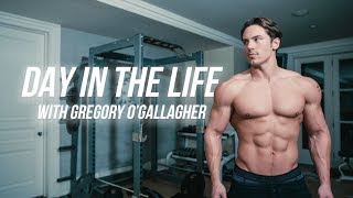 How To Get to 6 Body Fat  Warrior Shredding Day in the Life [upl. by Treblig147]