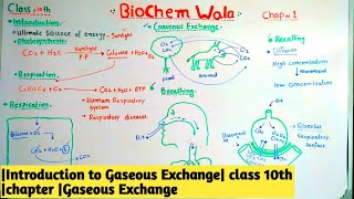 Introduction to Gaseous Exchange class 10th chapter Gaseous Exchange [upl. by Friede]