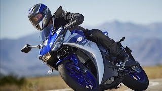 2015 Yamaha YZF R3 [upl. by Anilok158]