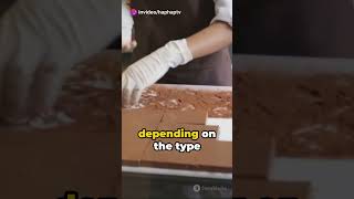 Choco Delight DIY Chocolate Making shorts viral [upl. by Nauqed]