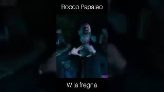 ROCCO PAPALEO VIVA LA FREG 🔺️🤣🤣🤣🤣🤣 youtubeshorts [upl. by Oinigih7]