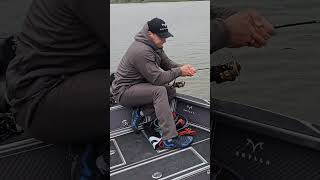 200 zamiata wędkarstwosumowe fishing wędkarstwo sum catfish płock [upl. by Inoek]