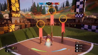 Playing in the Tri Wizard Tournament quidditchchampions [upl. by Ahsiekat]