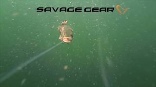 Savage Gear 4D Line Thru Pike [upl. by Inalan377]