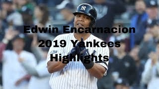 Edwin Encarnacion 2019 Yankees Highlights [upl. by Anelrihs]