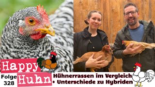 Verschiedene Hühnerrassen im Vergleich Unterschied Hybridhühner und Rassegeflügel HAPPY HUHN E328 [upl. by Norri]