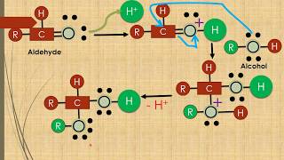 Hemiacetals formation Animation Alcohol  Aldehyde [upl. by Esinet]