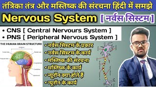 Nervous System in Hindi  CNS Central Nervous System  PNS Peripheral Nervous System  Brain Neuron [upl. by Kermie]